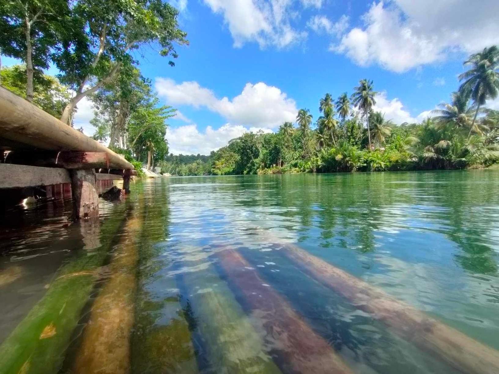 Gbu Loboc River Guesthouse Экстерьер фото